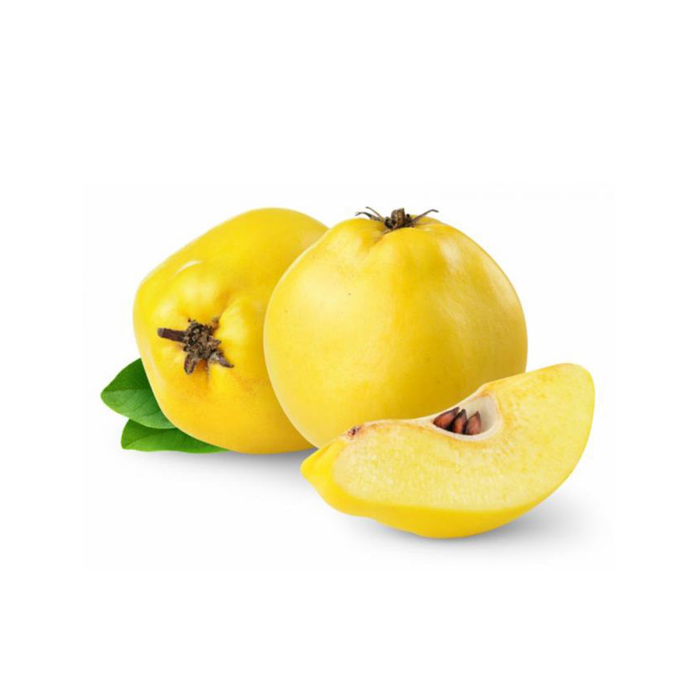 GUTUI AURIU